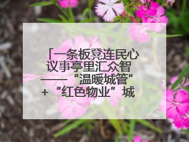 一条板凳连民心 议事亭里汇众智——“温暖城管”+“红色物业”城市管理进社区新模式绘就城市管理社区治理新画卷