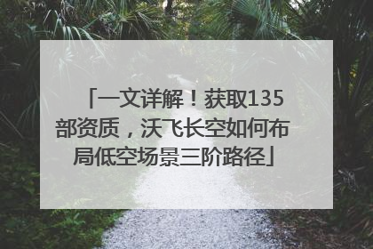 一文详解！获取135部资质，沃飞长空如何布局低空场景三阶路径