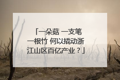 一朵菇 一支笔 一根竹 何以撬动浙江山区百亿产业？