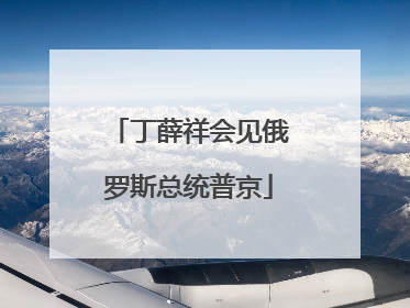 丁薛祥会见俄罗斯总统普京