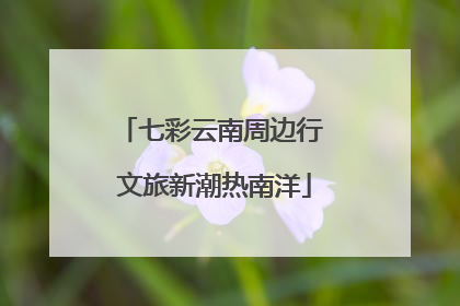 七彩云南周边行 文旅新潮热南洋