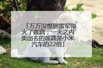 万万没想到雷军带火了莲藕，一天之内卖出去的莲藕是小米汽车的22倍