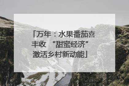 万年：水果番茄喜丰收 “甜蜜经济”激活乡村新动能