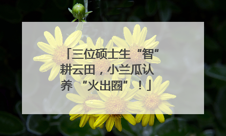 三位硕士生“智” 耕云田，小兰瓜认养 “火出圈”！