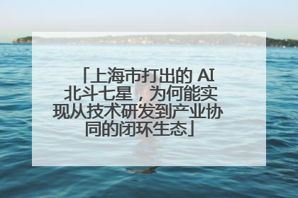 上海市打出的 AI 北斗七星，为何能实现从技术研发到产业协同的闭环生态
