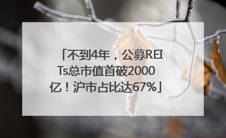 不到4年，公募REITs总市值首破2000亿！沪市占比达67%