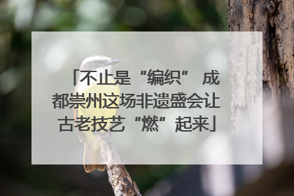 不止是“编织” 成都崇州这场非遗盛会让古老技艺“燃”起来