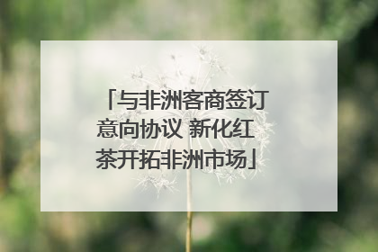 与非洲客商签订意向协议 新化红茶开拓非洲市场