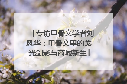 专访甲骨文学者刘风华：甲骨文里的戈光剑影与商城新生