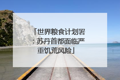 世界粮食计划署：苏丹首都面临严重饥荒风险