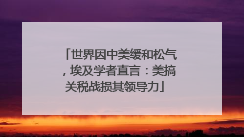 世界因中美缓和松气，埃及学者直言：美搞关税战损其领导力