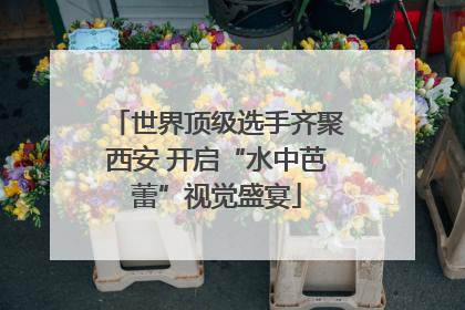 世界顶级选手齐聚西安 开启“水中芭蕾”视觉盛宴