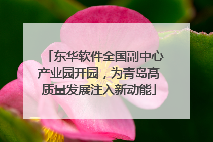 东华软件全国副中心产业园开园，为青岛高质量发展注入新动能