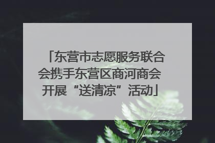 东营市志愿服务联合会携手东营区商河商会开展“送清凉”活动