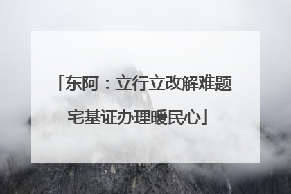 东阿：立行立改解难题 宅基证办理暖民心