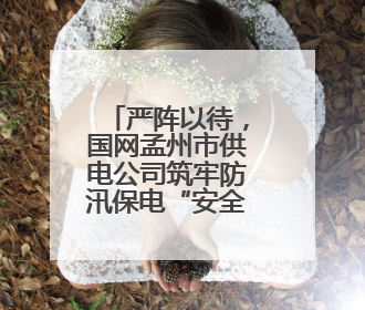 严阵以待，国网孟州市供电公司筑牢防汛保电“安全堤”