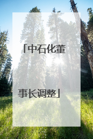 中石化董事长调整