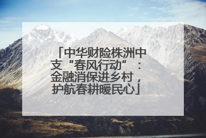 中华财险株洲中支“春风行动”：金融消保进乡村，护航春耕暖民心