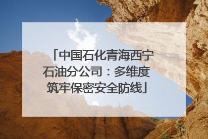 中国石化青海西宁石油分公司：多维度筑牢保密安全防线