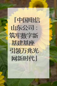 中国电信山东公司：筑牢数字新基建基座 引领万兆光网新时代