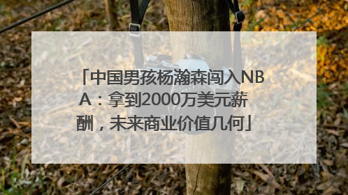 中国男孩杨瀚森闯入NBA：拿到2000万美元薪酬，未来商业价值几何