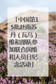 中国第15批赴南苏丹（瓦乌）维和部队参加联合国维和人员日纪念活动