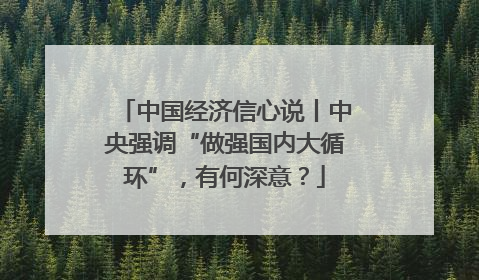 中国经济信心说丨中央强调“做强国内大循环”，有何深意？