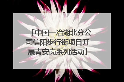 中国一冶湖北分公司信阳步行街项目开展青安岗系列活动