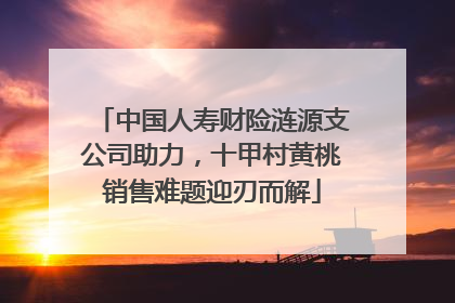 中国人寿财险涟源支公司助力，十甲村黄桃销售难题迎刃而解