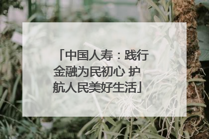 中国人寿：践行金融为民初心 护航人民美好生活