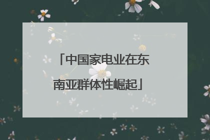 中国家电业在东南亚群体性崛起