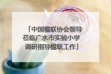 中国楹联协会领导莅临广水市实验小学调研指导楹联工作