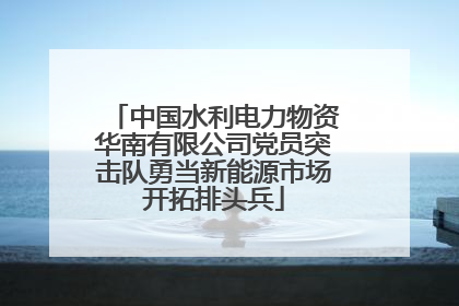 中国水利电力物资华南有限公司党员突击队勇当新能源市场开拓排头兵