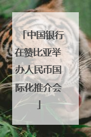 中国银行在赞比亚举办人民币国际化推介会