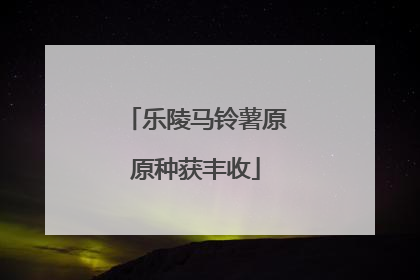 乐陵马铃薯原原种获丰收
