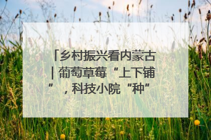 乡村振兴看内蒙古｜葡萄草莓“上下铺”，科技小院“种”出三倍效益