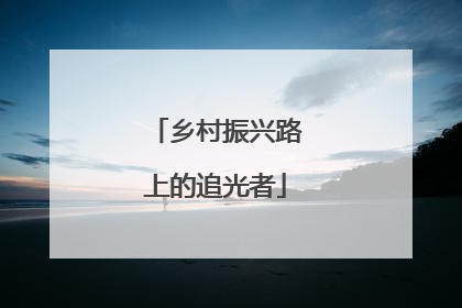 乡村振兴路上的追光者