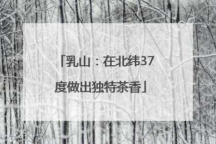乳山：在北纬37度做出独特茶香