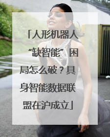 人形机器人“缺智能”困局怎么破？具身智能数据联盟在沪成立