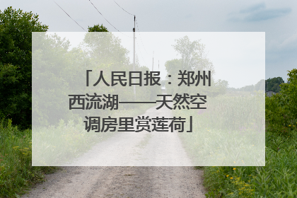 人民日报：郑州西流湖——天然空调房里赏莲荷