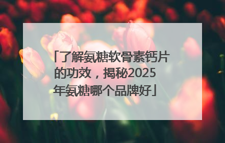 了解氨糖软骨素钙片的功效，揭秘2025年氨糖哪个品牌好