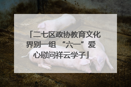 二七区政协教育文化界别一组 “六一”爱心慰问祥云学子