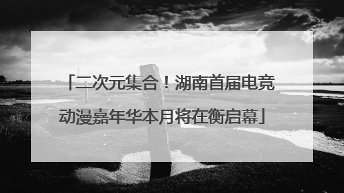 二次元集合！湖南首届电竞动漫嘉年华本月将在衡启幕
