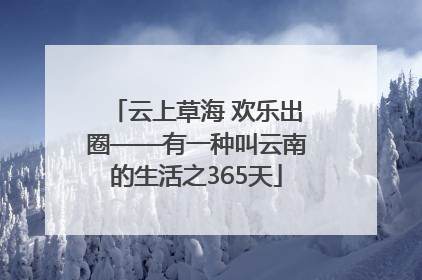 云上草海 欢乐出圈——有一种叫云南的生活之365天