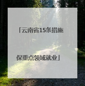 云南省15条措施保重点领域就业