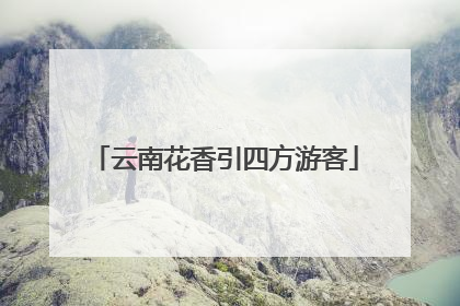 云南花香引四方游客