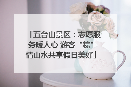 五台山景区：志愿服务暖人心 游客“粽”情山水共享假日美好