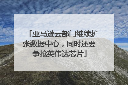 亚马逊云部门继续扩张数据中心，同时还要争抢英伟达芯片