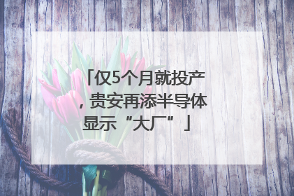 仅5个月就投产，贵安再添半导体显示“大厂”