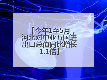 今年1至5月，河北对中亚五国进出口总值同比增长1.1倍